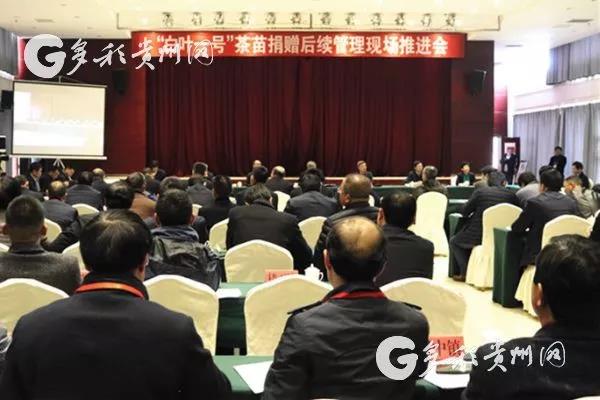 MK SPORTS受邀参加“白叶一号”茶苗捐赠后续管理现场推进会
