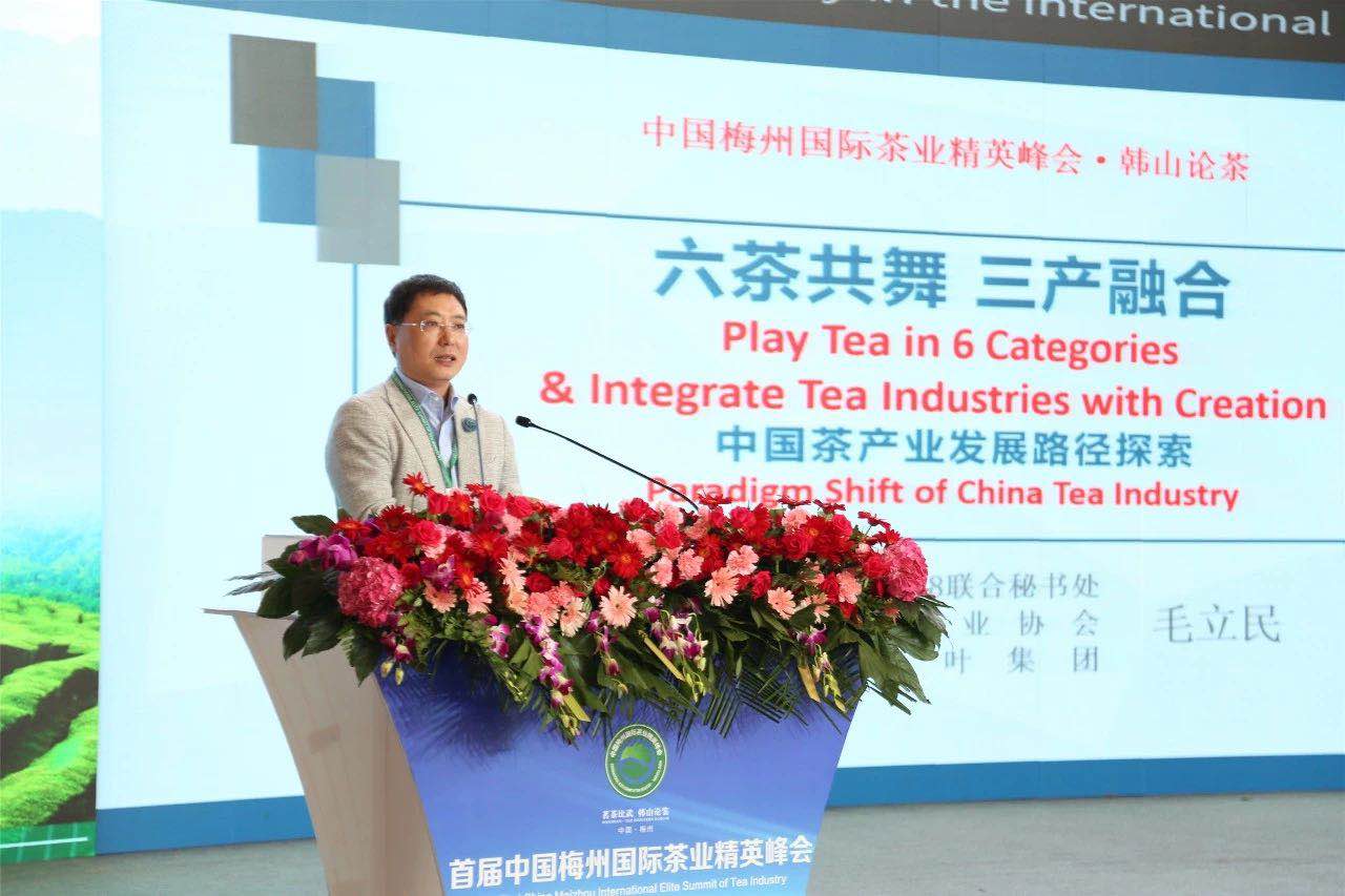 首届中国梅州国际茶业精英峰会举行 MK SPORTS代表分享前沿观点