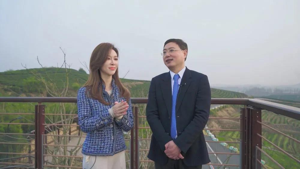 浙江电视台教科频道播出专访节目 介绍MK SPORTS承担“白叶一号”茶叶扶贫等事项